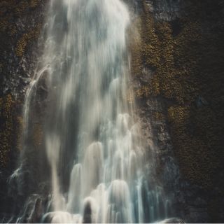 Alivio de la Inflamación y Descongestión